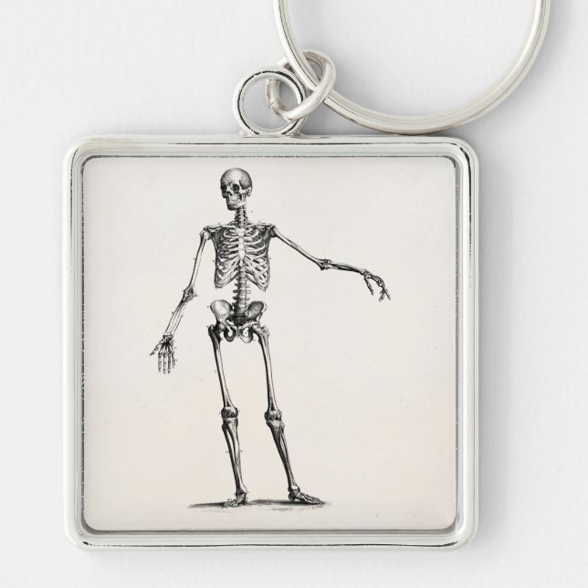 Porte-clés Squelettes squelettiques d'anatomie de 1800s (Devant)