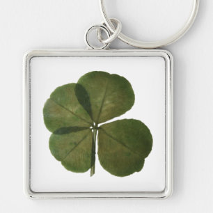 Porte-clés St Patrick Real 4 Leaf Clover Obtenez un Porte - c