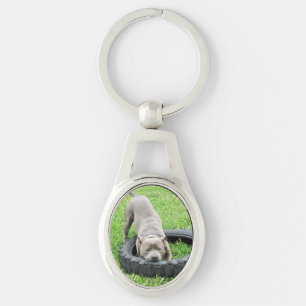 Porte-clés Staffordshire Bull Terrier, Clavier métallique ova