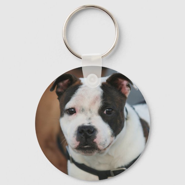 Porte-clés Staffordshire Bull Terrier porte - clé (Recto)