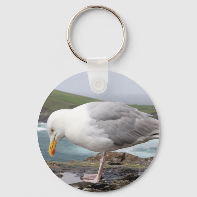 Porte-clés stehende Moewe (Recto)