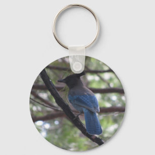 Porte-clés Stellar Jay- Yosemite