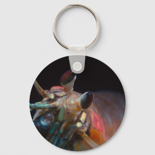 Porte-clés Stomatopod (crevette de mante)