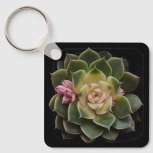 Porte-clés Succulent dans le point 7