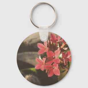 Porte-clés Succulents florissants dans mon jardin