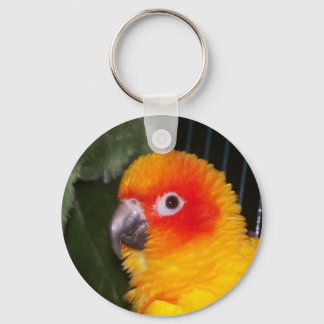 Porte-clés Sun Conure