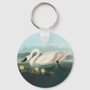 Porte-clés swan audubon bird white water swans
