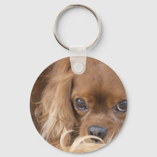 Porte-clés Sweet Ruby Cavalier King Charles Spaniel