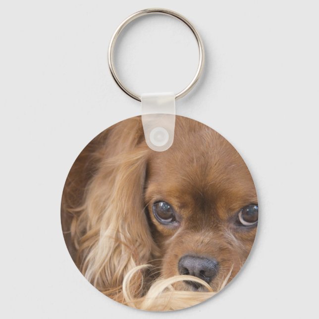 Porte-clés Sweet Ruby Cavalier King Charles Spaniel (Recto)