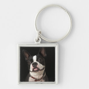 Porte-clés Terrier de sourire de Boston avec le collier