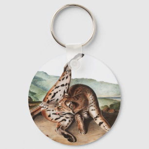 Porte-clés Texan Lynx (Lynx rufus var maculatus) Illustration