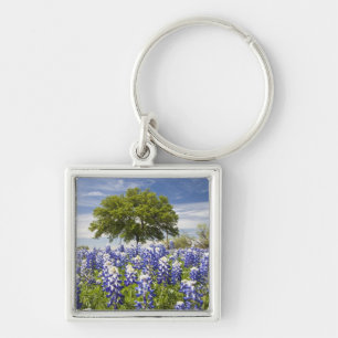 Porte-clés Texas bluebonnets (lupinus texensis) et chêne