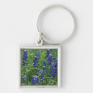 Porte-clés Texas, lac Buchanan. Bluebonnet et sauvage du Texa