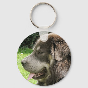 Porte-clés Tibétain mastiff.png
