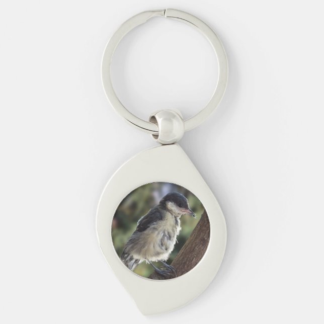 Porte-clés Tidi my Bird le Parus Major (Devant)
