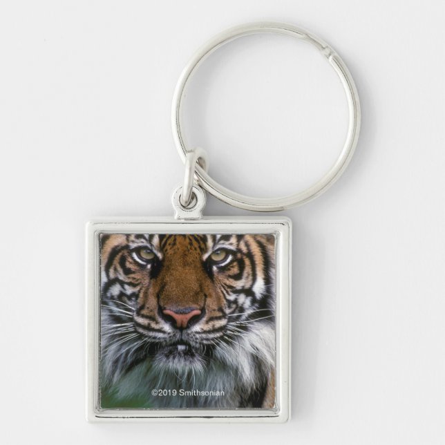 Porte-clés Tiger tête et visage (Devant)