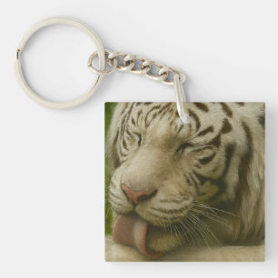 Porte-clés Tigre blanc dans le rituel de toilettage privé