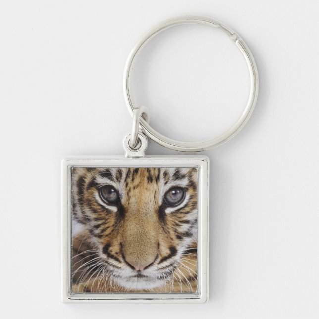 Porte-clés Tigre CUB (Devant)