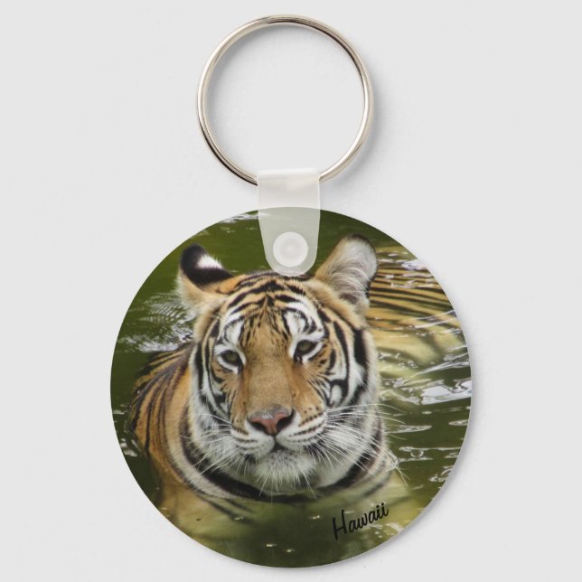Porte-clés Tigre dans l'eau (Recto)
