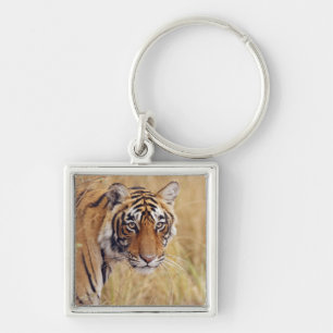 Porte-clés Tigre royal du Bengale