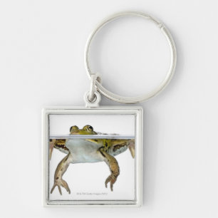 Porte-clés Tiré d'une grenouille comestible apprêtant devan