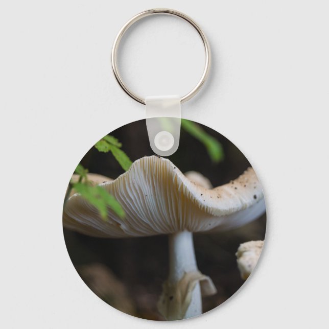 Porte-clés Toadstool parapluie (Recto)