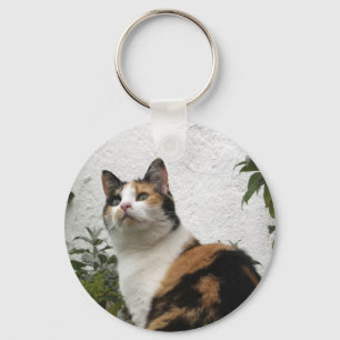 Porte-clés Tortoiseshell et Chat blanc