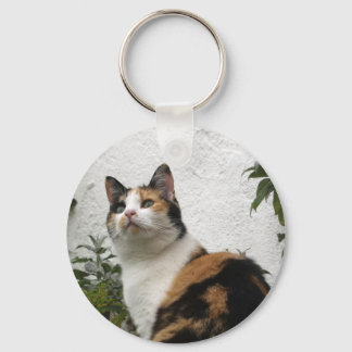 Porte-clés Tortoiseshell et Chat blanc