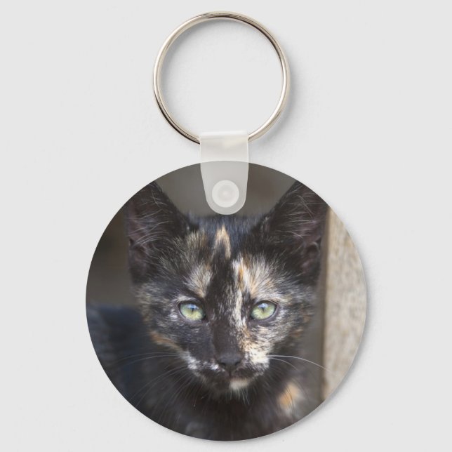 Porte-clés Tortoiseshell Kitten (Recto)
