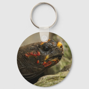 Porte-clés Tortue à pied rouge