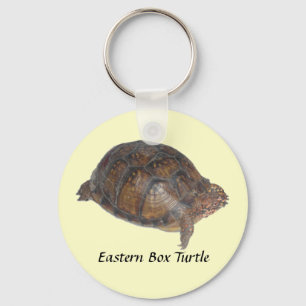 Porte-clés Tortue de boîte orientale