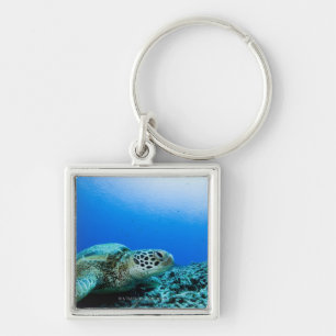 Porte-clés Tortue de mer se reposant sous l'eau