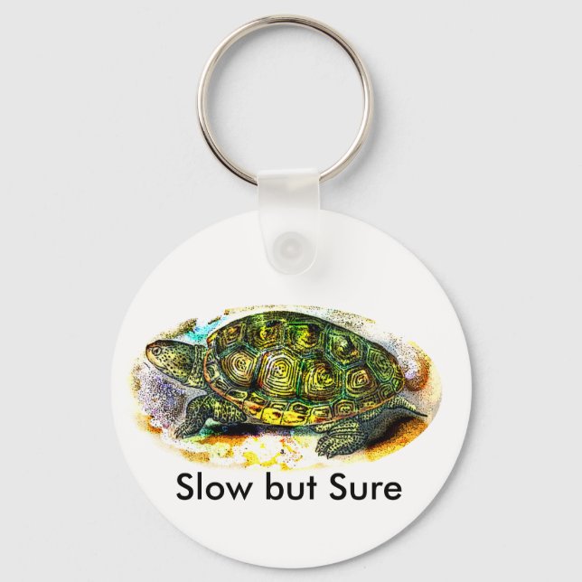 Porte-clés Tortue diamondback Terrapin de JungleWalk.Com (Recto)