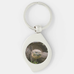 Porte-clés Tortue géante