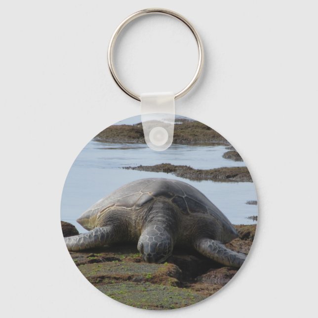 Porte-clés Tortue Reposée Sur Les Rochers (Recto)