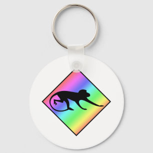 Porte-clés Traversée du singe arc-en-ciel