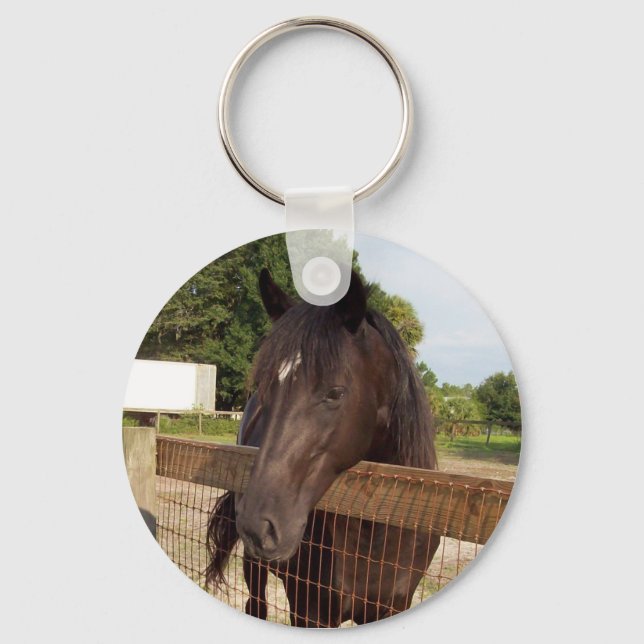 Porte-clés triste (Recto)