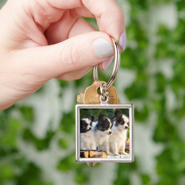 Porte-clés Trois mignonnes chiots papillon sur un banc de jar (main)