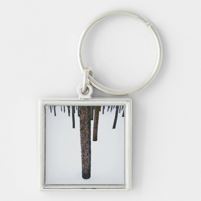 Porte-clés Troncs d'arbre dans la neige (Devant)