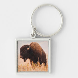 Porte-clés Troupeau De Bison Américain (Bison Bison) À Teton 