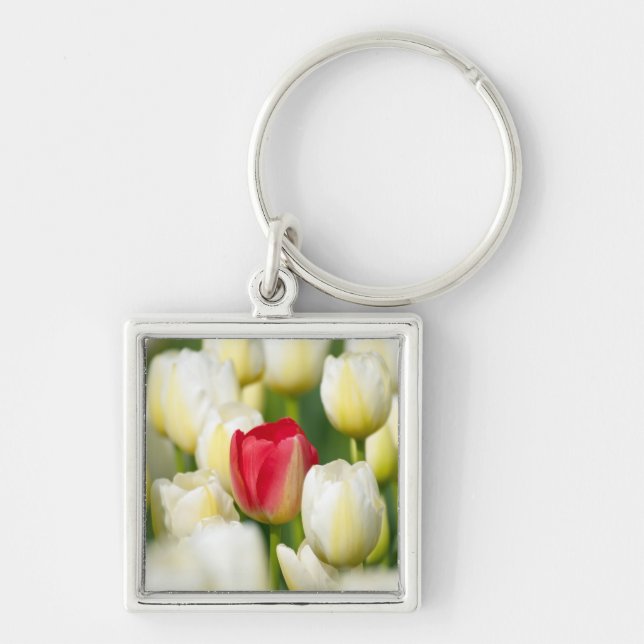 Porte-clés Tulipe rouge dans un domaine des tulipes blanches (Devant)