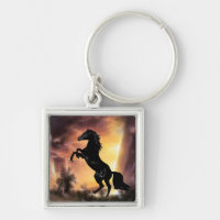 Un cheval de Stallion friésien