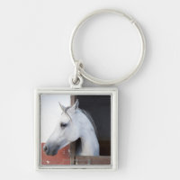 Un cheval (équidés)