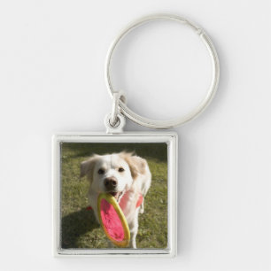 Porte-clés Un chien avec un frisbee