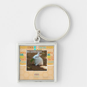 Porte-clés Un jardin Down�