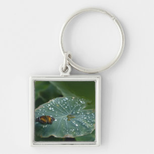 Porte-clés Un papillon sur une feuille avec des gouttelettes