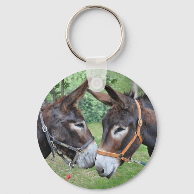Porte-clés Une paire d'amis ânes (Recto)