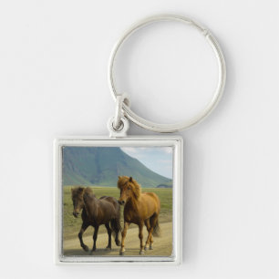 Porte-clés Une paire de poneys islandais Brown