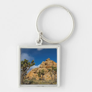 Porte-clés USA, Californie, Parc national Joshua Tree