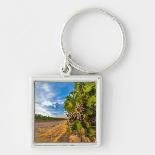 Porte-clés USA, Washington, Yakima Valley. Raisins de Merlot